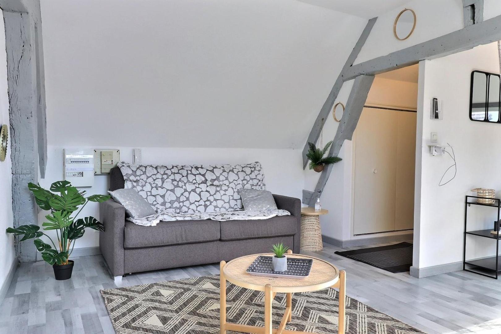Downtown Apartment - Quiet And Cozy - Mon Groom Troyes Eksteriør billede