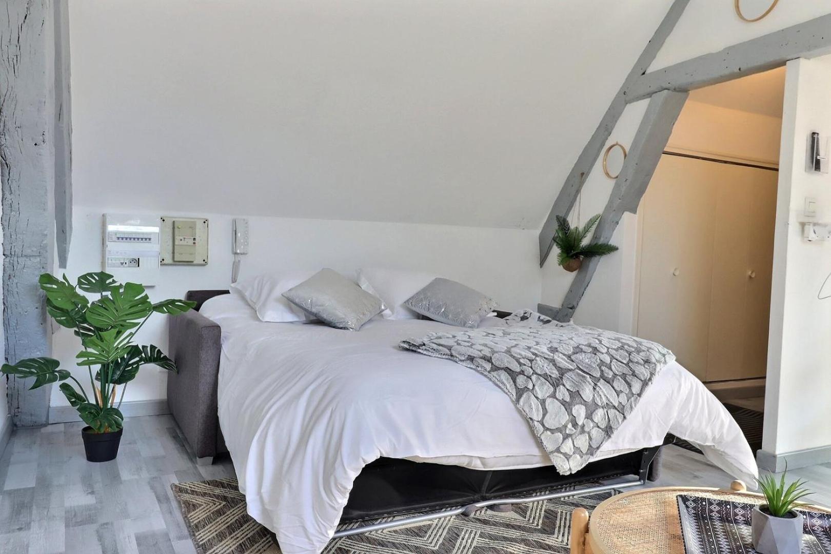 Downtown Apartment - Quiet And Cozy - Mon Groom Troyes Eksteriør billede