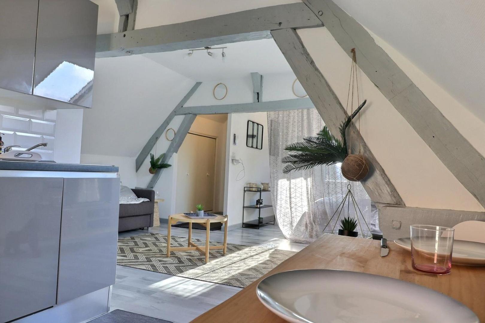 Downtown Apartment - Quiet And Cozy - Mon Groom Troyes Eksteriør billede