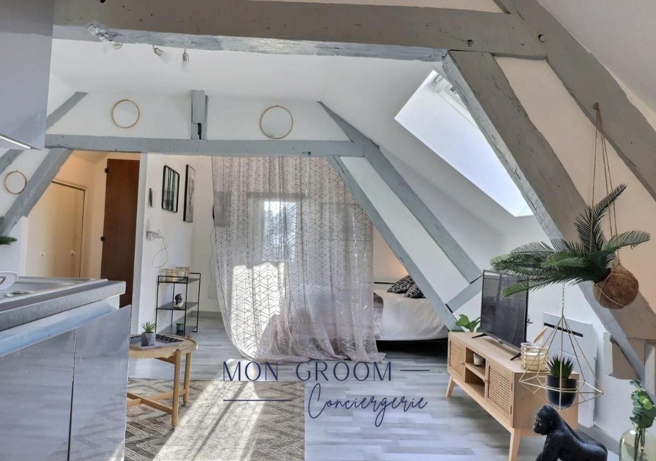 Downtown Apartment - Quiet And Cozy - Mon Groom Troyes Eksteriør billede